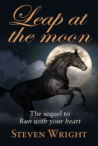 Leap at the moon - Ebook cover artwork