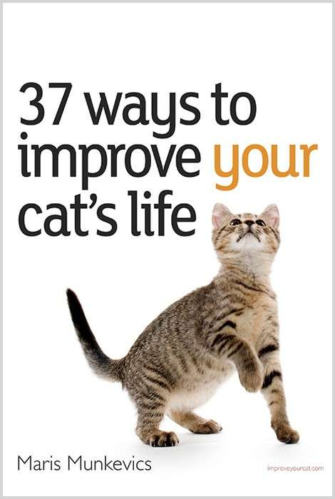 Cat's Life Ebook