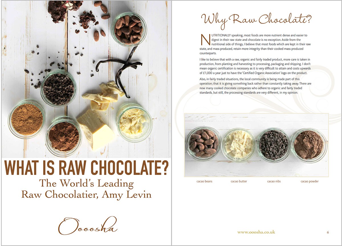 What is Raw Chocolate? PDF Ebook
