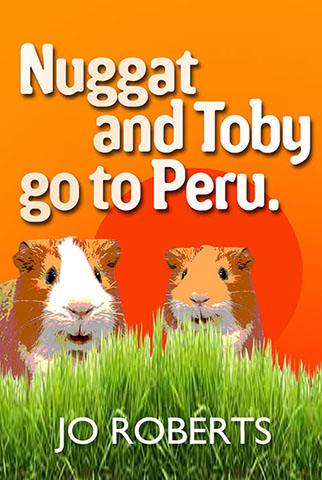 Book cover design